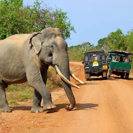 Leesa Villa Safari Resort Udawalawe Eksteriør billede