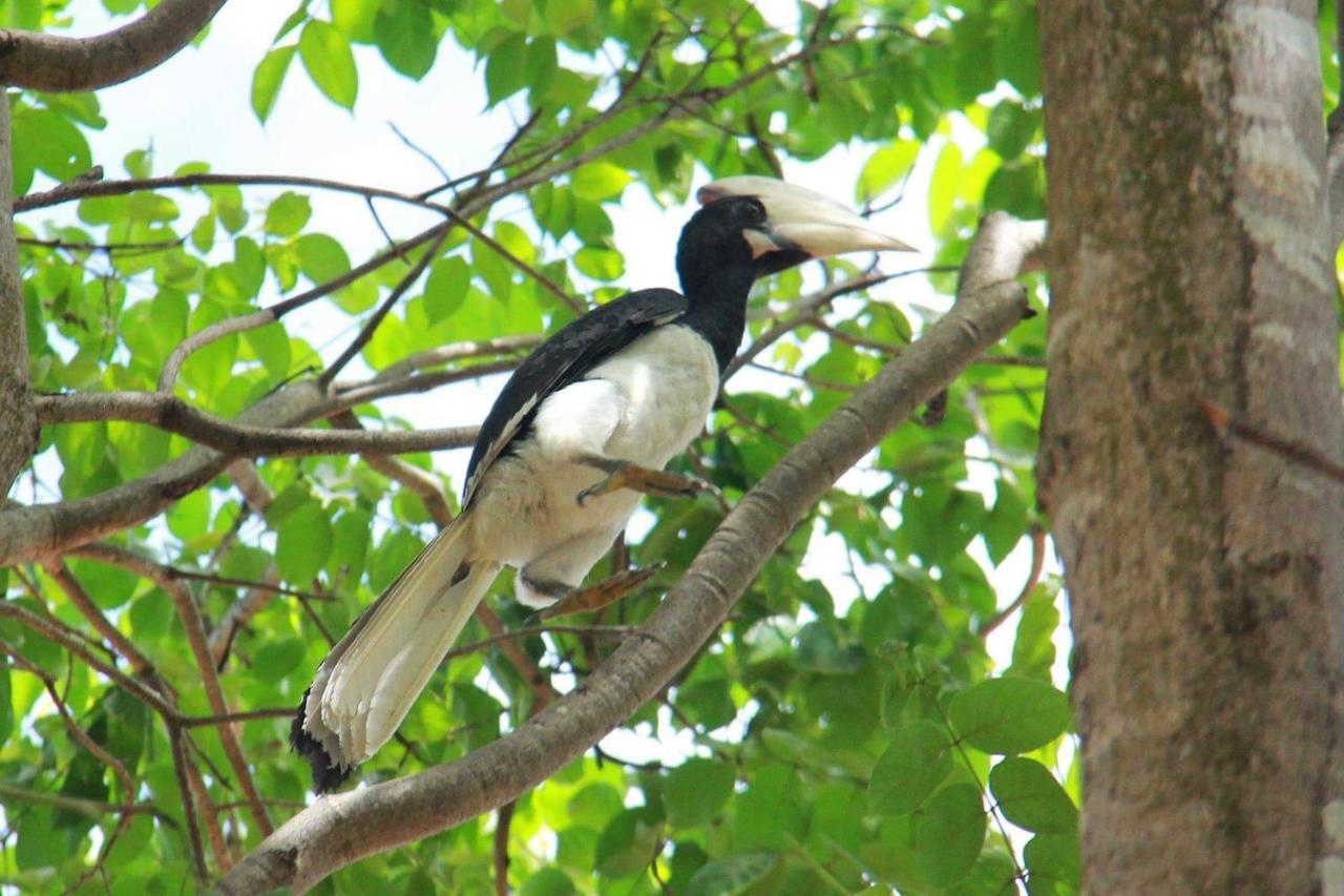 Leesa Villa Safari Resort Udawalawe Eksteriør billede