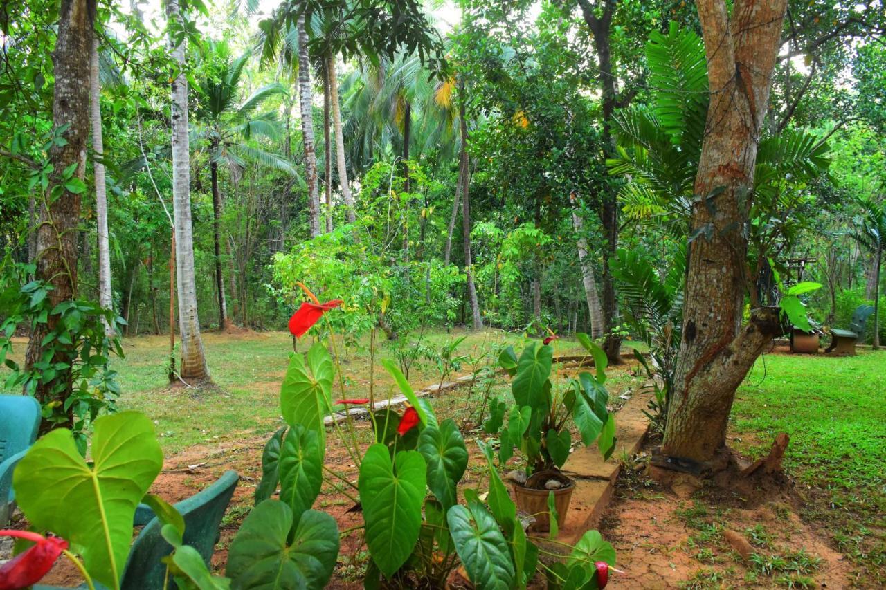 Leesa Villa Safari Resort Udawalawe Eksteriør billede