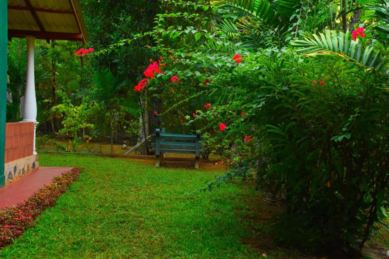 Leesa Villa Safari Resort Udawalawe Eksteriør billede